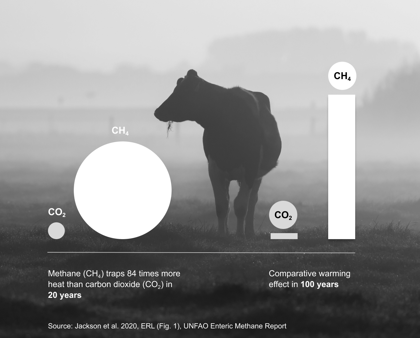 Methane vs Carbon